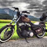 Bobber Bag